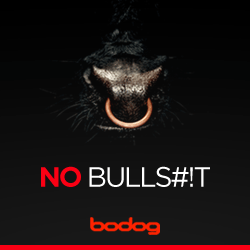 Bodog Poker